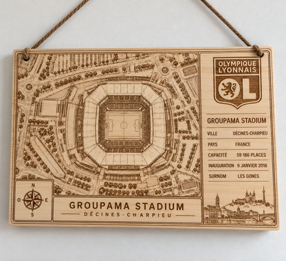 tableau stade de football personnalisé, cadeau idéal pour supporter de l'olympique lyonnais